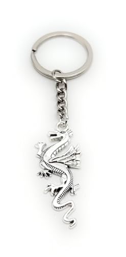 H-Customs Drache Symbol Macht Schutz Schlüsselanhänger Anhänger aus Metall Silber von H-Customs