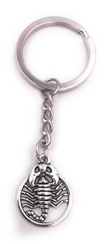 H-Customs Skorpion Sternzeichen Schlüsselanhänger Anhänger Silber aus Metall von H-Customs