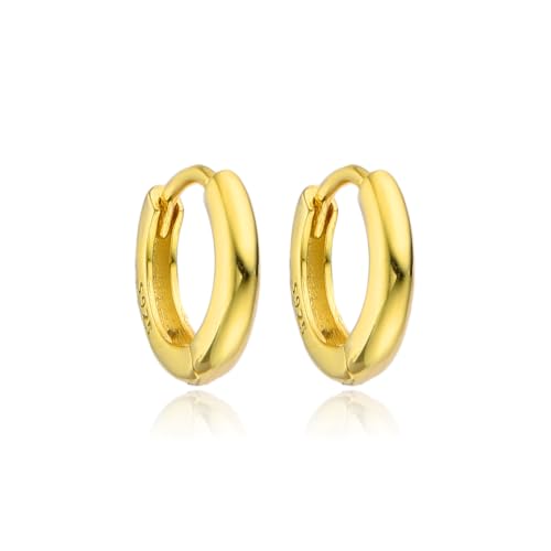 Creolen aus S925-Sterlingsilber für Damen, Mädchen, Herren, 10 mm, klein, leicht, hypoallergen – H'HELEN (10mm Farbe Gold) von H'Helen