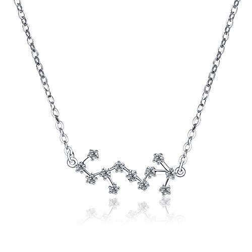 Choker Scorpio Sternzeichen Schmuck Zeichen Halskette Horoskop Astrologie Sternbild Anhänger 925 Sterling Silber für Frauen Geburtstag Jubiläum Thanksgiving Weihnachten Valentinstag oder Muttertag von H.ZBRUJ