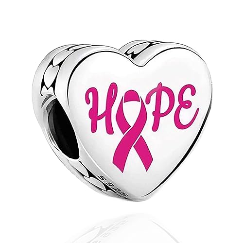 H.ZHENYUE Anhänger Charms 925 Sterling Silber Breast Cancer Hope Awareness Bead Charms with Zirconia für Europäische Armbänder Halskette,Schmuck Geschenk für Weihnachten,Valentinstag,Muttertag Damen von H.ZHENYUE