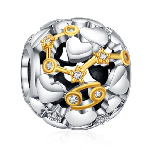 H.ZHENYUE Anhänger Charms 925 Sterling Silber Cancer Bead with Zirconia Europäische Armbänder Halskette,Schmuck Geschenk Weihnachten,Valentinstag,Muttertag Damen H.ZHENYUE Anhänger Charms 925 Sterling Silber Cancer Bead with Zirconia Europäische Armbänder Halskette,Schmuck Geschenk Weihnachten,Valentinstag,Muttertag Damen von H.ZHENYUE