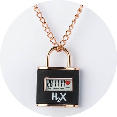 H2X analog LU-SR417DN1 von H2X