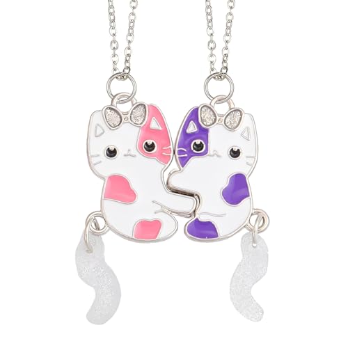 HABNI Freundschafts Anhänger Mädchen Halskette Geschenk Passende Freundschaftskette Schmuck Langstrecke Geburtstag Für Beste Freunde Damen Herren von HABNI