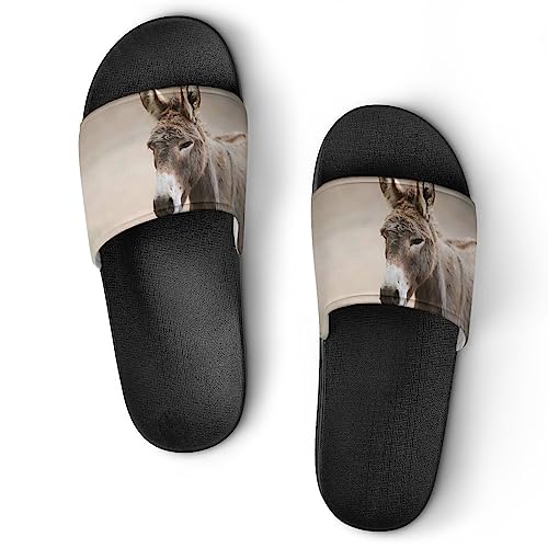 HABXNJF Duschpantoffeln Esel Cute Sliders für Damen und Herren rutschfeste Slides, Schwarzer Esel niedlich, 39 1/3 EU von HABXNJF