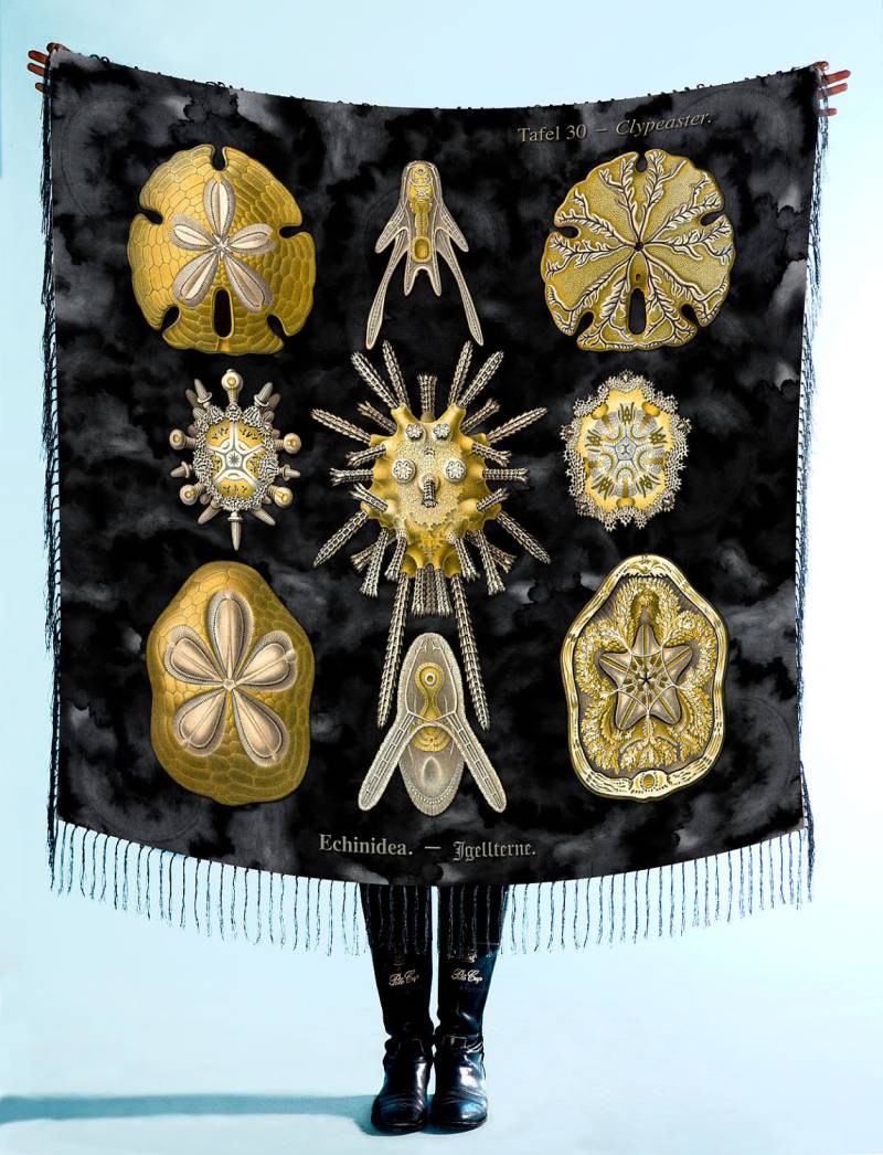 Riesen-Schal Aus Reiner Seide, Handrolliert, Handgesäumt, Erstaunlich Und Einzigartig Riesen-Schal Aus Reiner Seide, Handrolliert, Handgesäumt, Erstaunlich Und Einzigartig von HAECKELHAUSCO