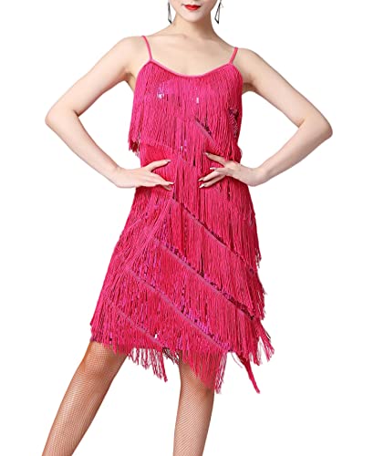 HAHAEMMA Damen Kleid Neckholder Quaste 1920er Fransenkleid Mit Halter Great Gatsby Cocotail Party Flapper Kleider Fasching Fransen Damen Kostüm(RO,2XL) von HAHAEMMA