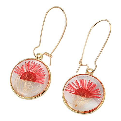Runde Ohrringe, getrocknete Blume, unsterbliche Kreolen, für Damen, farbige Pflanzen-Ohrringe, Party, Hochzeit, Schmuck, Blumen-Hängeohrringe, Einheitsgröße, Wie beschrieben, Wie beschrieben von HAISENG