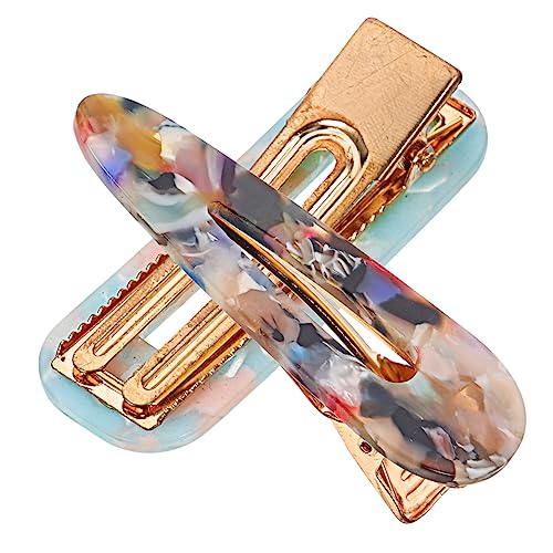 HAKIDZEL 2st Haarnadel Haarspangen Für Alligator-haarspangen Hair Clips for Women Entenschnabelclips Für Haare Haarspangen Acryl Haarspangen Aus Acetat Acetatfolie Fräulein Einfach Schmuck von HAKIDZEL