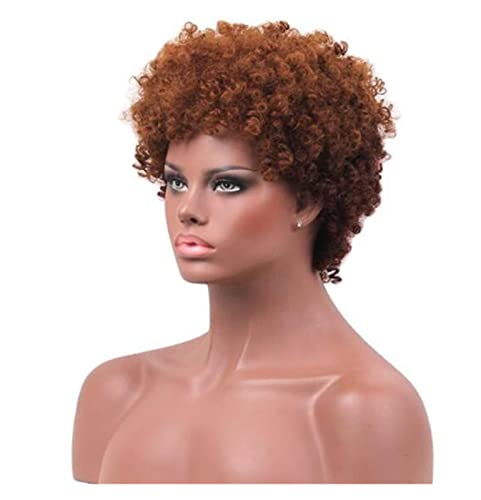 HALAHAI Perücken 10cm Haarschnitte Kurze Afro-lockige Synthetische Perücken Für Schwarze Frauen Afroamerikaner-Frauen-Perücken Perücke (Color : As Shown) von HALAHAI