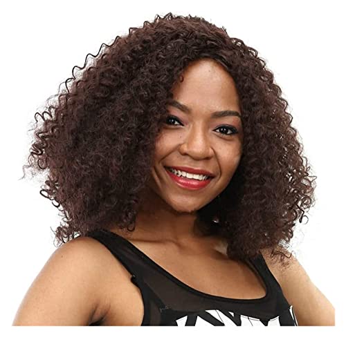 HALAHAI Perücken Haar Kurzes Lockiges Menschenhaar Geschnittene Lockige Menschenhaarperücken Für Schwarze Frauen Kurze Lockige Menschenhaarperücken Perücke (Color : As Shown) von HALAHAI