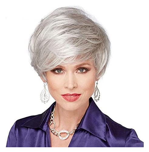 HALAHAI Perücken Silbergraue Haarperücke, Natürliche Kurze Echthaarperücken Für Frauen, Kurze Perücke Für Den Täglichen Gebrauch Perücke (Color : Silver) von HALAHAI