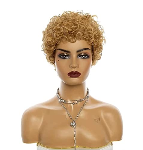 Perücken Kurze Lockige Haar Perücken Für Frauen Lockige Perücken Afrikanische Lockige Synthese Perücken Cosplay Perücken Perücke (Color : Brown, Size : 4,5in) von HALAHAI