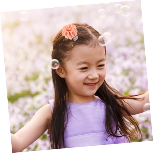 HAMPPLIES 10 Teiliges Süße Haarklammern für Mädchen Kleine Haarschmuck accessoires mit Blumen Schmetterlings Schleifenmotiven Fester Griff Leicht und Bequem für Party und Alltag von HAMPPLIES