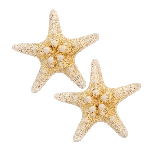 HAMPPLIES 2Stücke Handgefertigte Seestern Haarspangen Niedliche Fünfzackige Haarklammern für und Mädchen Haaraccessoire für Strandpartys und Besondere Anlässe von HAMPPLIES