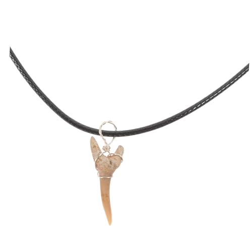 HANABASS Haifischzahn Halskette für Mädchen und Unisex Natürlicher Haifischzahn Anhänger mit Lederband Stilvolles Schmuckstück für Verschiedene Anlässe und Persönliche Vorlieben von HANABASS