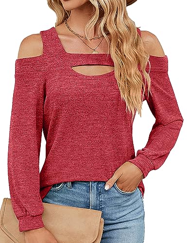 HANERDUN Damen Langarm Oberteil Casual Tops T-Shirt Basic Longshirt Trägerloses Einfarbig Lose Bluse für Herbst und Winter von HANERDUN