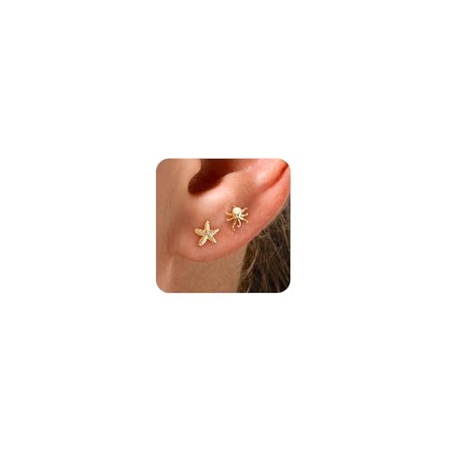 HANLI Seestern Ohrringe Gold Damen - 14K Gold Vergoldet Starfish Meer Muschel Ohrstecker Hypoallergen Elegante Leichte Mini Ohrringe für Sommer Strand von HANLI