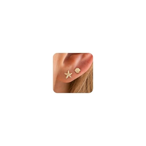 HANLI Seestern Ohrringe Gold Damen - 14K Gold Vergoldet Starfish Meer Muschel Ohrstecker Hypoallergen Elegante Leichte Mini Ohrringe für Sommer Strand von HANLI