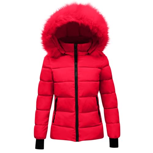 Winterjacke Damen Elegant Schick, Sale Steppjacke Leicht Und Warme, Wintermantel Flauschig Federleichte, Daunenjacke Aus Einfarbiger Baumwolle Mit Kapuze Und Warmer Tasche Für Herbst Und Winter von HAOLEI