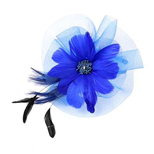 HAPINARY Bunt Haarschmuck Mit Federn Kreative Party-haardekoration Als Haarreif Haarband Eleganter Kopfschmuck Aus Netzgarn Und Kunstfedern von HAPINARY