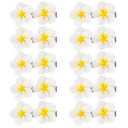 HAPINARY 10er Satz Simulation Blumen Haarnadeln Ei Blumen Haarspangen Damen Haaraccessoires Aus Harzmaterial von HAPINARY