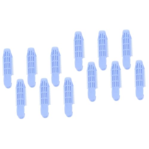HAPINARY 12 Stck. Teiliges Haarklammern für Volumen Fluffige Clips für Damen Professionelle Haarstyling Hilfen Tragbar und Leicht Hochwertige Verarbeitung von HAPINARY