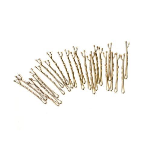 HAPINARY 192 Stück Du Hast Bobby Geformt Mini-bobby Braut Haarspange Dekorativer Bobby Bobby-pin-halter Mini-haarnadeln Haarspangen Aus Draht Damen Haarpflege Knall-clip von HAPINARY