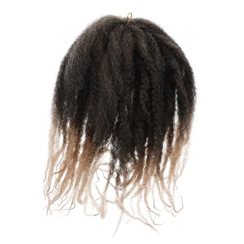 HAPINARY Haarzopf Echthaar Dreadlocks Perücke Lockige Perücke Häkelnadeln Häkelnadeln Zöpfe Perücken Häkelhaar Häkelzöpfe Häkelhaar Häkelhaar Für Schwarze Haarflecht Perücke von HAPINARY