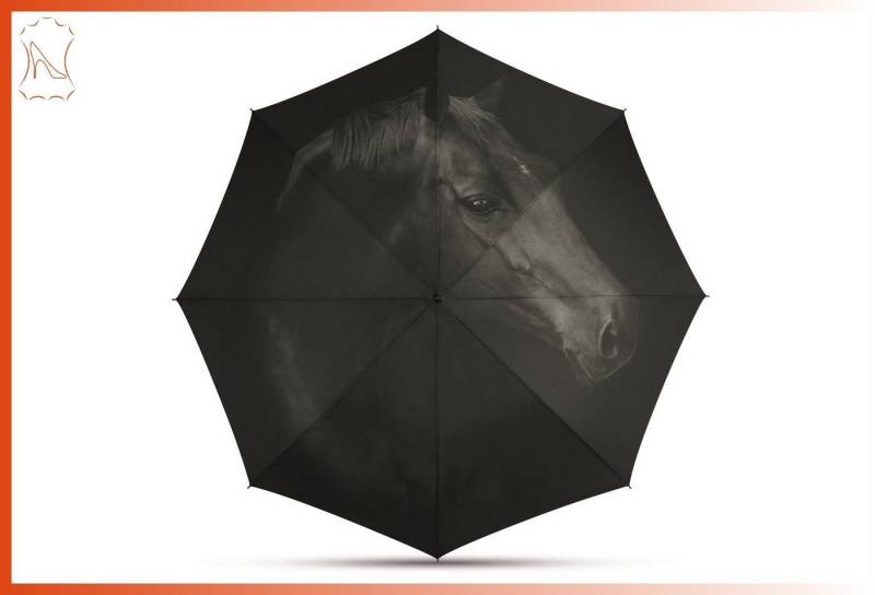 HAPPY RAIN Taschenregenschirm Taschenschirm schwarz mit Pferd Halbautomatik Mini AC von HAPPY RAIN