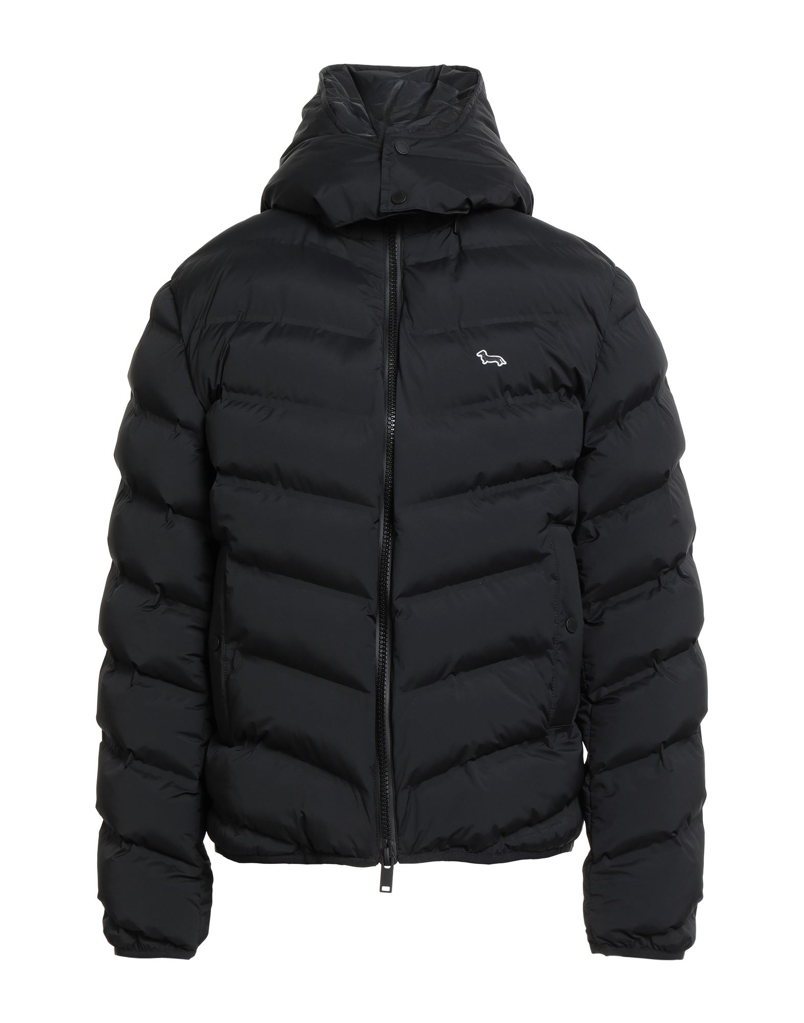 HARMONT & BLAINE Pufferjacke & Daunenjacke Herren Schwarz von HARMONT & BLAINE