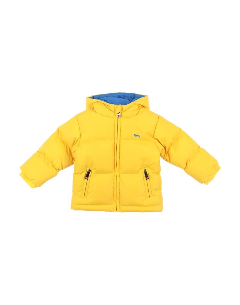 HARMONT & BLAINE Pufferjacke & Daunenjacke Kinder Gelb von HARMONT & BLAINE