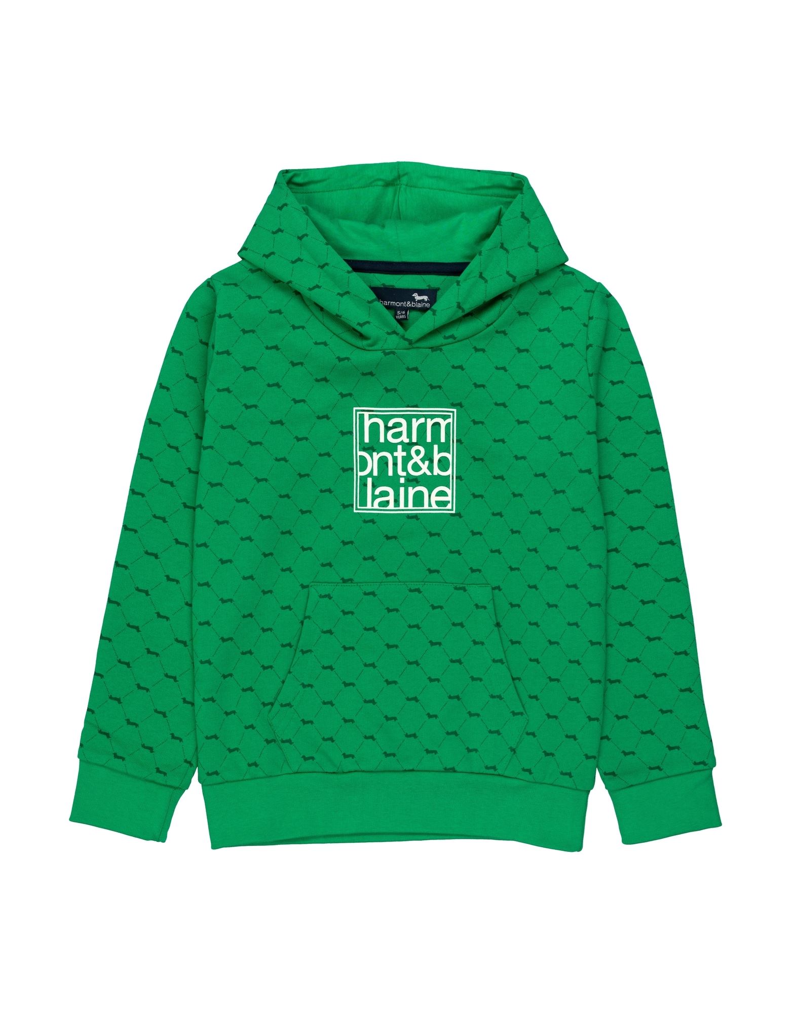 HARMONT & BLAINE Sweatshirt Kinder Grün von HARMONT & BLAINE