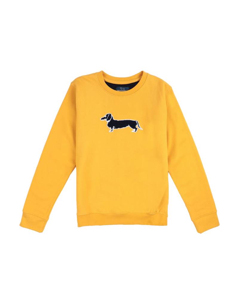 HARMONT & BLAINE Sweatshirt Kinder Ocker von HARMONT & BLAINE