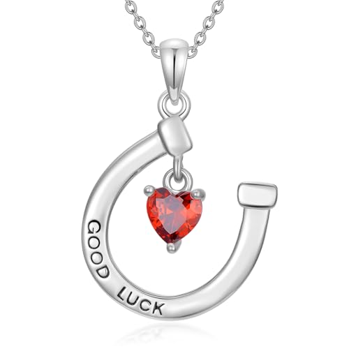 HARMONY BOLA Hufeisen Halskette 925er Sterlingsilber Glücksbringer Anhänger Hufeisen Schmuck für Frauen Pferdeliebhaber von HARMONY BOLA