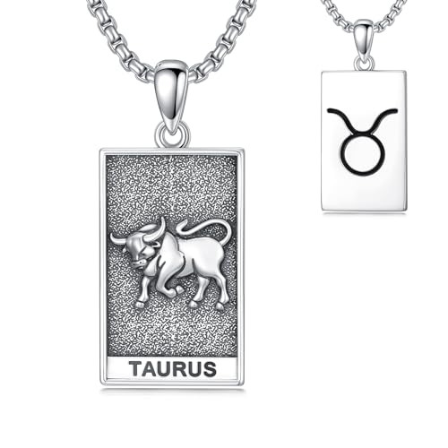 HARMONY BOLA Stier Halskette 925 Sterlingsilber Stier Anhänger Astrologie Horoskop Schmuck für Männer Frauen Geburtstagsgeschenke von HARMONY BOLA