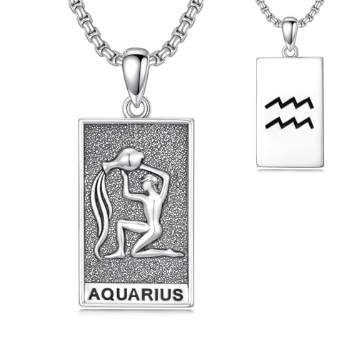 HARMONY BOLA Wassermann Halskette 925 Sterlingsilber Wassermann Anhänger Astrologie Horoskop Schmuck für Männer Frauen Geburtstagsgeschenke von HARMONY BOLA