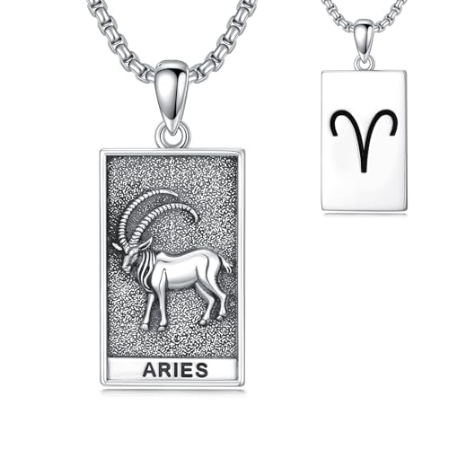 HARMONY BOLA Widder Halskette 925 Sterlingsilber Widder Anhänger Astrologie Horoskop Schmuck für Männer Frauen Geburtstagsgeschenke von HARMONY BOLA