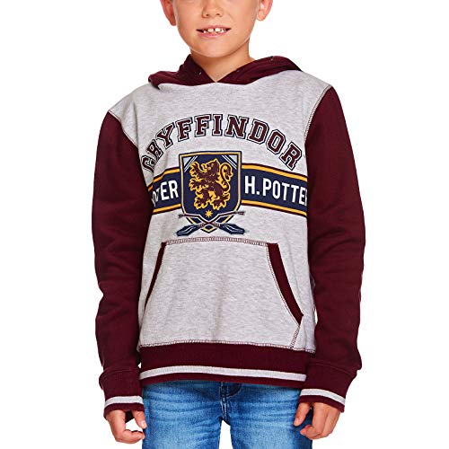 Harry Potter Kinder Hoodie Gryffindor Wappen mit Kapuze grau rot - 10 Jahre von Harry Potter