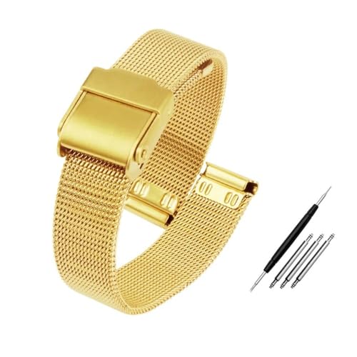 HASGTFM Mesh Uhr Band Uhr Fit for Milanese Armband 12mm 13mm 14mm 15mm 16mm 17mm 18mm 20mm 22mm Männer Frauen Stahl Armband Werkzeuge(Gold,18mm) von HASGTFM