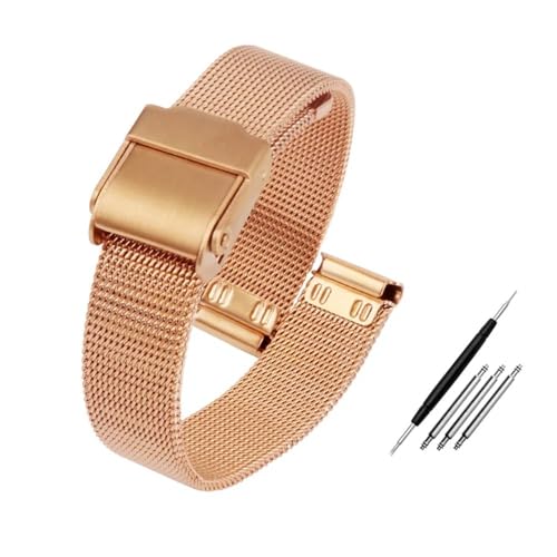 HASGTFM Mesh Uhr Band Uhr Fit for Milanese Armband 12mm 13mm 14mm 15mm 16mm 17mm 18mm 20mm 22mm Männer Frauen Stahl Armband Werkzeuge(Rose Gold,17mm) von HASGTFM