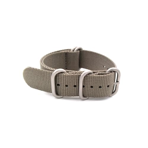 HASMI Kompatibles 20 mm, 22 mm, 24 mm Nylon-Uhrenarmband, Zulu-Armband, Uhrenarmband, Ringschnalle, 280 mm (Color : Grey Silver buckle, Size : 19mm) von HASMI