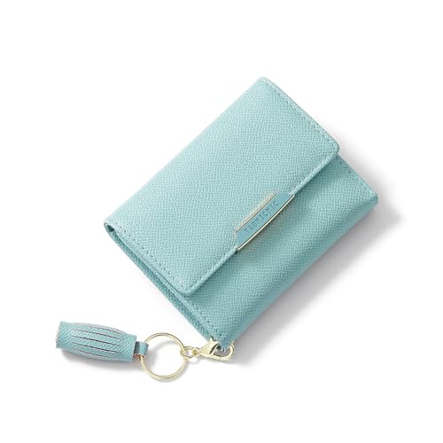 HAWILL Geldbeutel Damen Portemonnaie Damen Klein Geldbörse Tassel Portmonee Gift for You Leder Mini Wallet for Women mit Vielen Fächern (Blau) von HAWILL