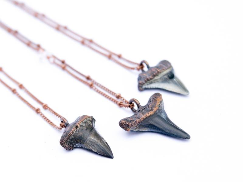 Haifischzahn Anhänger | Elektrogeformter Aus Kupfer Megalodon Fossil Mako Zahn Halskette von HAWKHOUSE