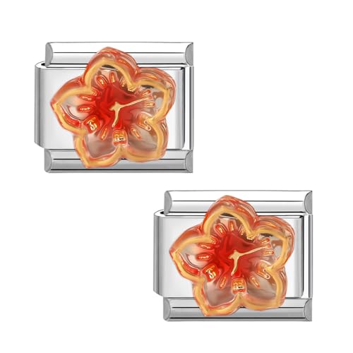 HAZMA 2 Stück Diy Abnehmbar Edelstahl Module Für Italienische Armbänder, Italian Charm Bracelet, 9Mm Italian Charms Mit Anhänger, Armband Zubehör, Nomination Armband,B von HAZMA