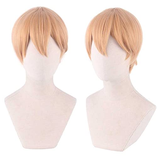Cosplay Perücke,Kaguya-sama Love is War Miyuki Shirogane Cosplay Perücke,Short Brown Yellow Perücke,Mit Kostenloser Perückenkappe,Halloween Kostüm Perücke,für Party Karneval Weihnachten[Farbe:Yellow] von HBYLEE