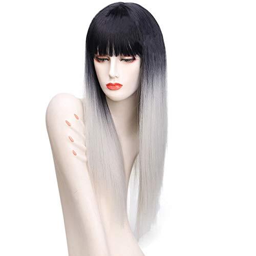 HBYLEE- 26inch Anime Harajuku Lolita Schwarz Grau Ombre Perücke Lange Gerade Damen Perücken Mit Pony Hitzebeständige Kunsthaar Grau[Farbe:Grau] von HBYLEE