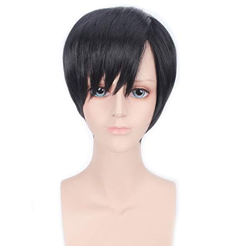 HBYLEE- 8 zoll Billig Angriff auf Titan Braun Schwarz Kurze Perücke Männer Anime Cosplay Hitzebeständige Synthetische Glattes Haar Perücken Für Halloween Schwarz[Farbe:Schwarz] von HBYLEE