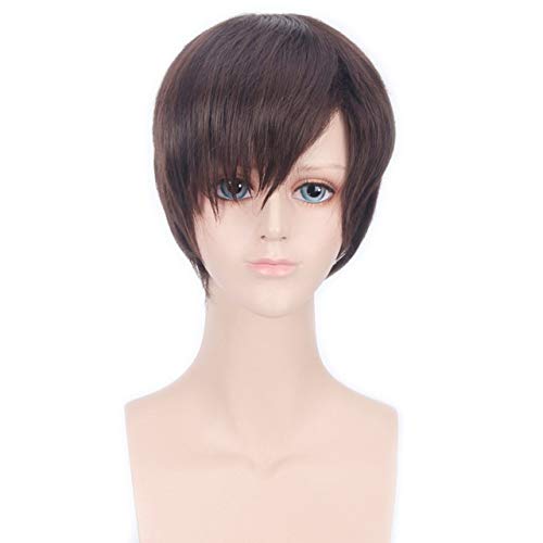 HBYLEE- 8 zoll Billig Angriff auf Titan Braun Schwarz Kurze Perücke Männer Anime Cosplay Hitzebeständige Synthetische Glattes Haar Perücken Für Halloween braun[Farbe:braun] von HBYLEE