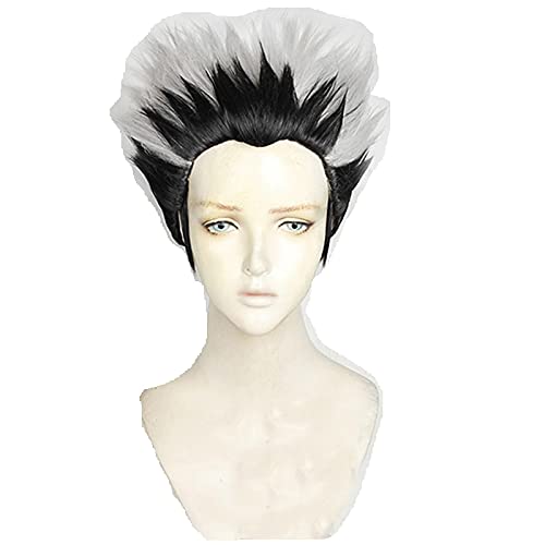 HBYLEE Anime Coser Perücke Anime Haikyuu! Kotaru Bokuto Cosplay Kurze Perücke Haikyu Hitzebest?ndige Faserhaare + Perückenkappe Anime Party Rollenspiel für M?nner und Erwachsene[Farbe:nach Plan] von HBYLEE